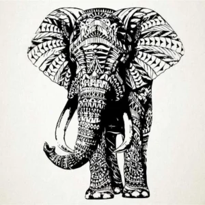 elefante